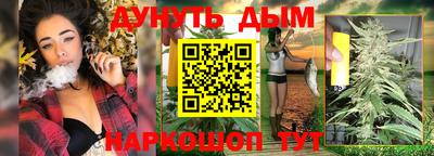сатива Гатчина