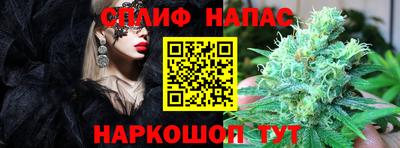 сатива Гатчина