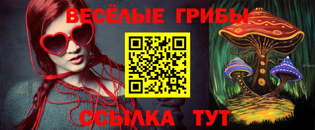 Галлюциногенные грибы Psilocybine cubensis Люберцы